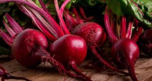Manfaat Buah Bit untuk Kesehatan